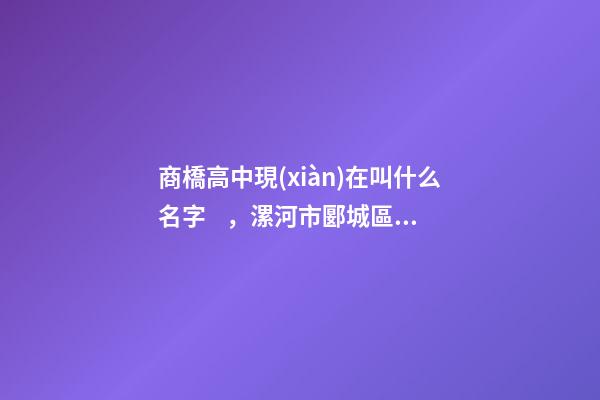 商橋高中現(xiàn)在叫什么名字，漯河市郾城區(qū)商橋鎮(zhèn)四字方針抓好村級(jí)后備干部培育-第1張-觀點(diǎn)-玄機(jī)派